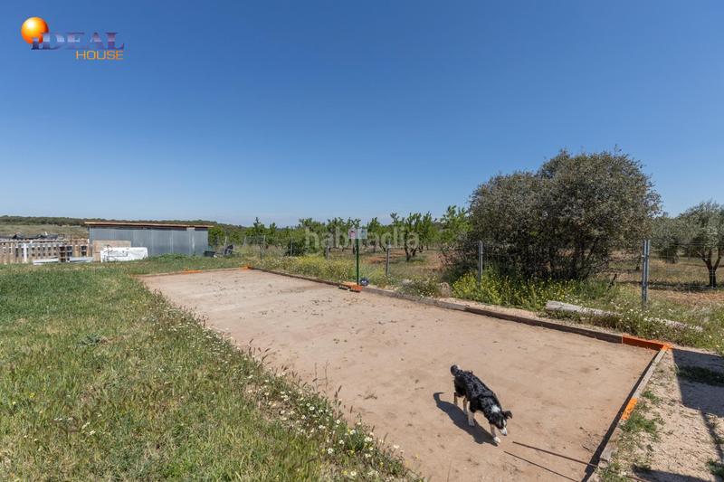Foto 4cbb55d4-0ec5-4f79-990e-fb88624b0129. Finca rústica en carretera facirretama s/n se vende explotacion agrícolaganadera en pleno funcionamiento en Padul