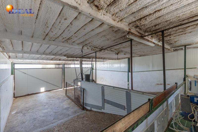 Foto 58edd388-f123-476a-93ca-97a7a5b431bf. Finca rústica en carretera facirretama s/n se vende explotacion agrícolaganadera en pleno funcionamiento en Padul