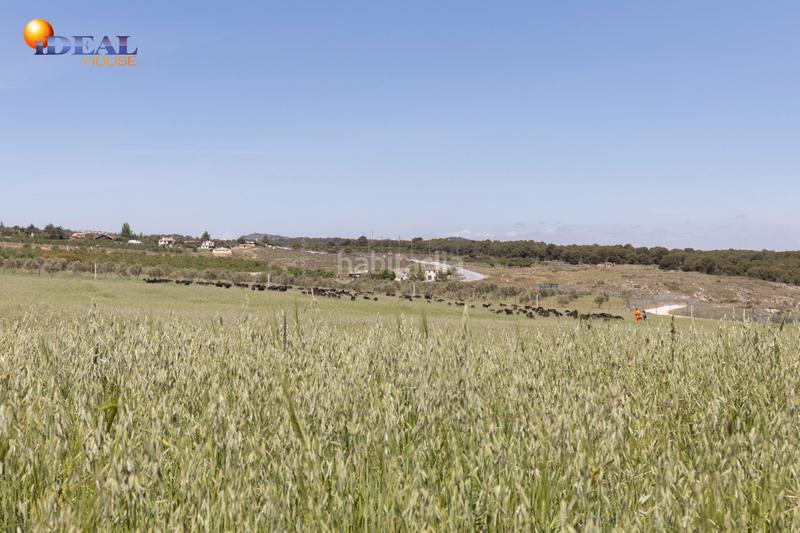 Foto 8baf02b0-d338-4b46-b731-0aff705150ca. Finca rústica en carretera facirretama s/n se vende explotacion agrícolaganadera en pleno funcionamiento en Padul