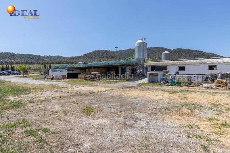 Foto a67ebc1a-10b8-4dae-ab09-7e5ce56803ab. Finca rústica en carretera facirretama s/n se vende explotacion agrícolaganadera en pleno funcionamiento en Padul