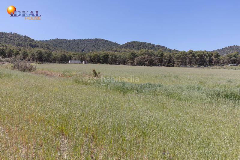 Foto a738f16a-cf88-457c-b9a0-465e036a7170. Finca rústica en carretera facirretama s/n se vende explotacion agrícolaganadera en pleno funcionamiento en Padul