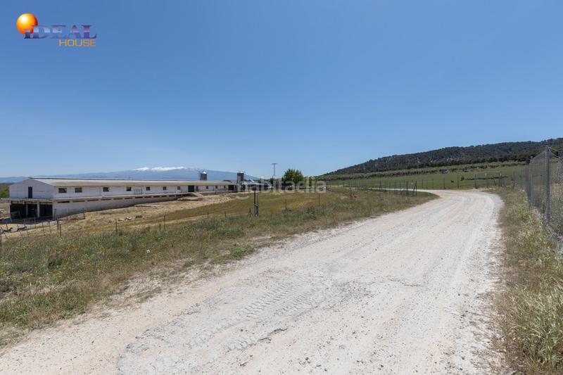 Foto cace64da-8090-4c3e-9cff-b731c7db67a1. Finca rústica en carretera facirretama s/n se vende explotacion agrícolaganadera en pleno funcionamiento en Padul