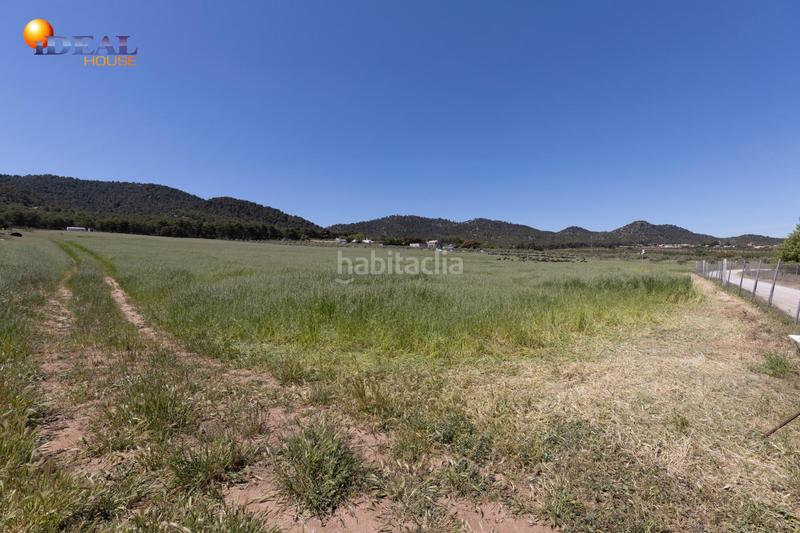 Foto d8659b4a-a908-430b-b3a8-9004a782fe53. Finca rústica en carretera facirretama s/n se vende explotacion agrícolaganadera en pleno funcionamiento en Padul