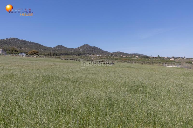 Foto e09bd76b-3dcc-44af-ad9e-b1a3319d2044. Finca rústica en carretera facirretama s/n se vende explotacion agrícolaganadera en pleno funcionamiento en Padul