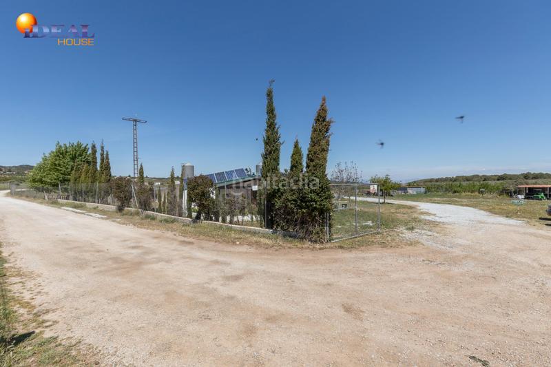Foto e0af6a03-48aa-4974-9c36-4d2d1230a198. Finca rústica en carretera facirretama s/n se vende explotacion agrícolaganadera en pleno funcionamiento en Padul