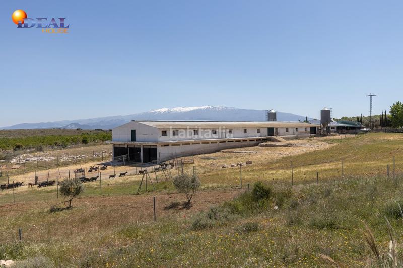 Foto f1f21de9-a4bb-49e1-9ea9-6f65f7c91847. Finca rústica en carretera facirretama s/n se vende explotacion agrícolaganadera en pleno funcionamiento en Padul