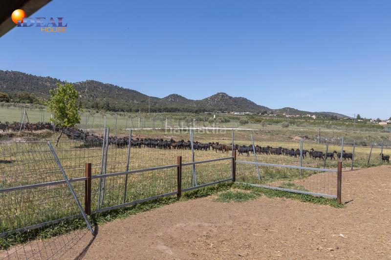 Foto f7c62a60-f9b2-4610-8de9-9b9717b9a66d. Finca rústica en carretera facirretama s/n se vende explotacion agrícolaganadera en pleno funcionamiento en Padul