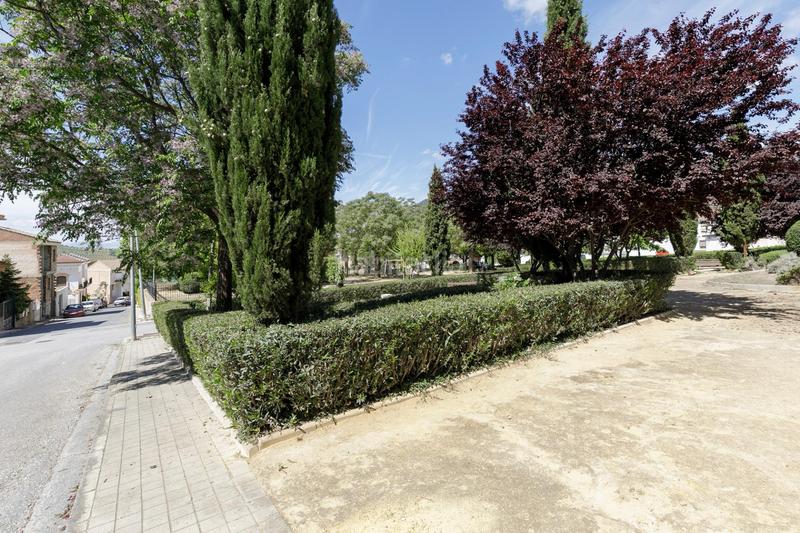 Foto 15ff8d3e-7e8b-4295-88c2-7a3ececfcb8e. Maison dans calle calle de mariana pineda 36 dans Íllora