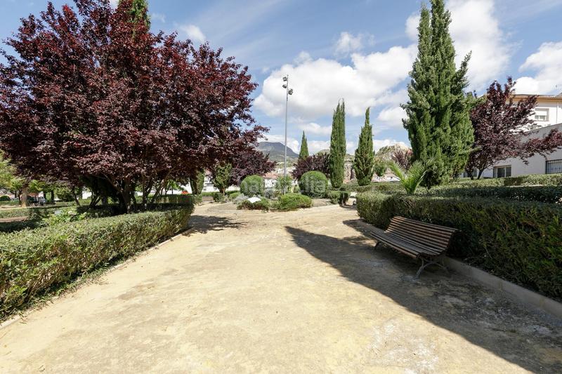 Foto bc35e56b-bccd-49fd-9b74-a5bbf310e0f6. Maison dans calle calle de mariana pineda 36 dans Íllora