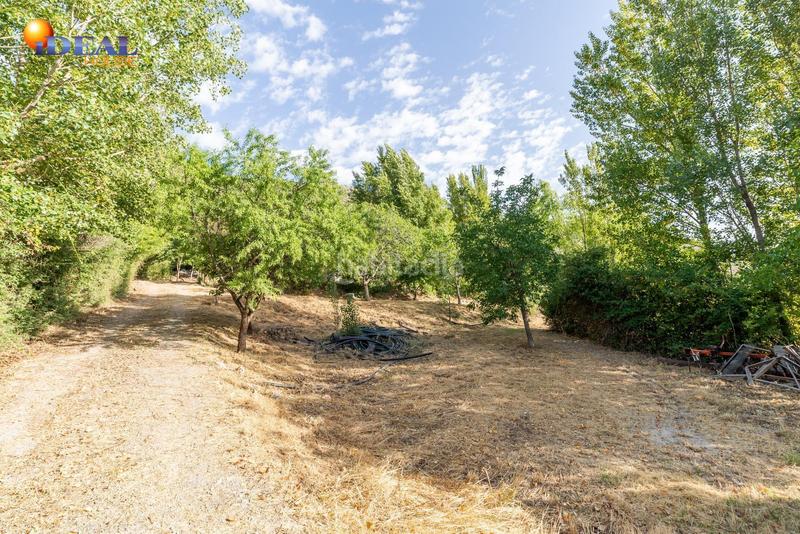 Foto 1a9b9b66-1388-4b45-8003-be2b1bc8a39f. Mas dans Cogollos de la Vega