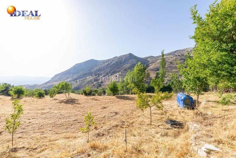 Foto 1d23dd6f-5ecd-45b4-bdf5-da6c7fc59a20. Mas dans Cogollos de la Vega