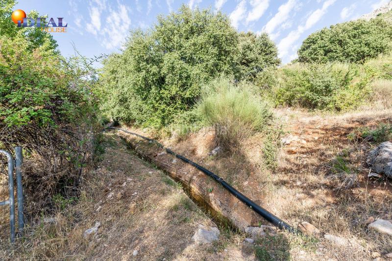 Foto 41db7b17-8a6b-4354-a966-5685c0f1e47f. Mas dans Cogollos de la Vega