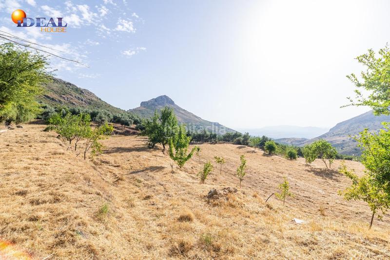 Foto 4b406ace-0b54-431a-a36c-9d2f31f6aa51. Mas dans Cogollos de la Vega