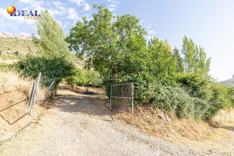 Foto 6cfc028d-02c5-437a-bc9a-410b2ca8a8d5. Mas dans Cogollos de la Vega