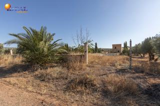 Masia  Chimeneas 12. 4000 metros de terreno rústico con casa de más de 250m para refo