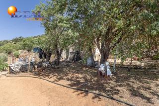 Finca rústica a Polígono poligono 51 parcela 44 51. Oportunidad en montefrío. dos fincas rústicas con mucho potencia