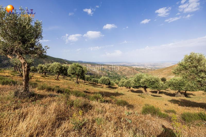 Foto 51cb04e4-55e8-4726-882a-58f3abd021b7. Finca rústica en haza del collado en venta maravilloso paraje natural, a medio camino entre granada y , a veinte minutos en coche, desde cada una de el en Sierra Nevada