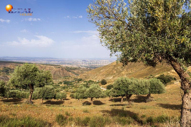 Foto a76defa9-b2f9-4a1a-b2d0-1e523063c802. Finca rústica en haza del collado en venta maravilloso paraje natural, a medio camino entre granada y , a veinte minutos en coche, desde cada una de el en Sierra Nevada