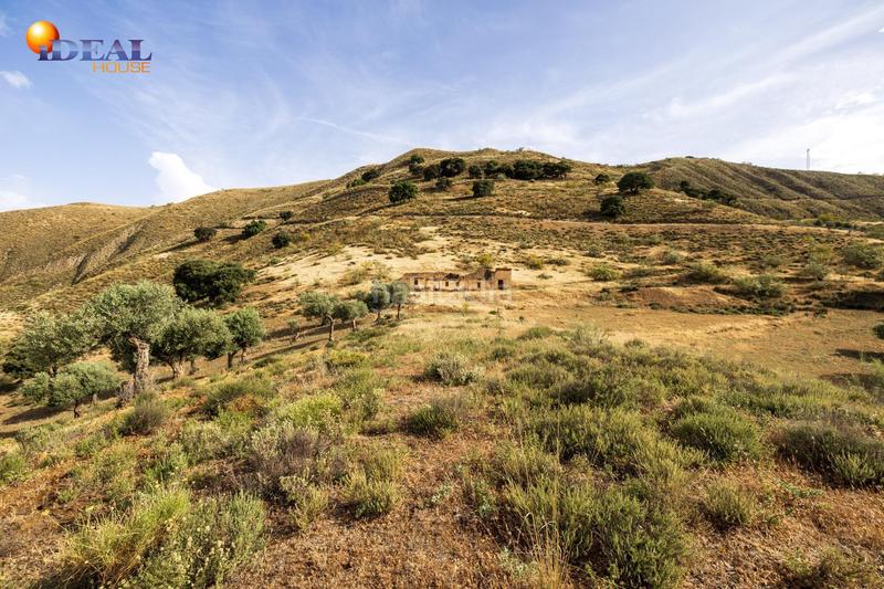 Foto e3bf1ce7-2d57-468a-ab1b-49d157c9da42. Finca rústica en haza del collado en venta maravilloso paraje natural, a medio camino entre granada y , a veinte minutos en coche, desde cada una de el en Sierra Nevada