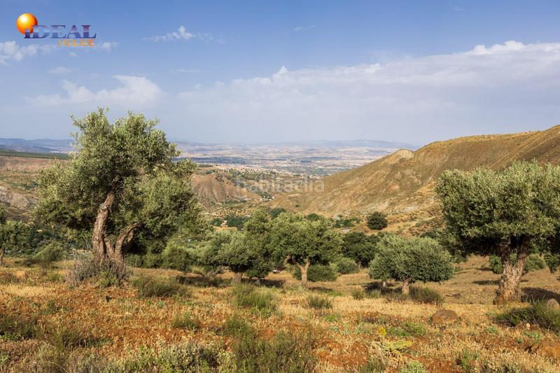 Foto fa9cff7f-2a52-47bf-9157-acae21c244eb. Finca rústica en haza del collado en venta maravilloso paraje natural, a medio camino entre granada y , a veinte minutos en coche, desde cada una de el en Sierra Nevada