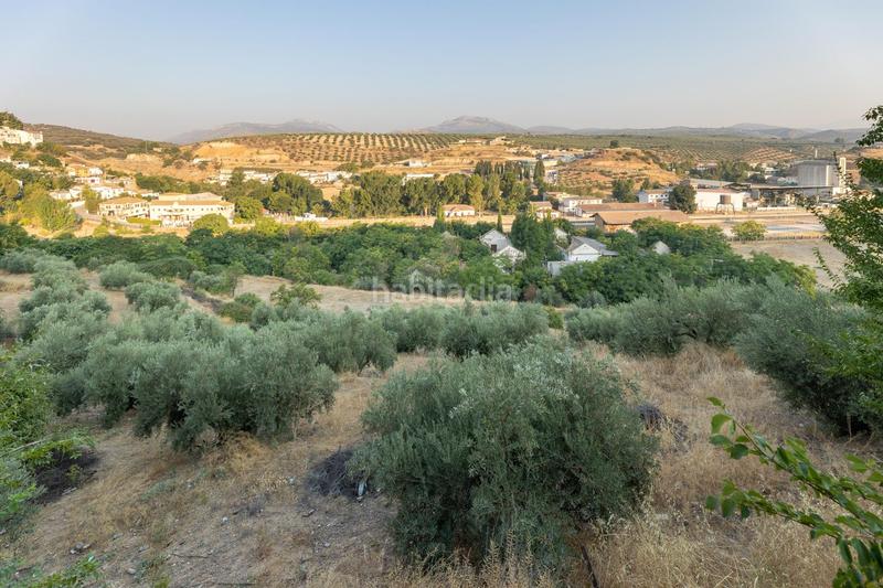 Foto b1170094-74d3-40d5-9cbd-0c03de0ef07e. Terreno residencial en calle de granada de Iznalloz oportunidad única granada en Iznalloz