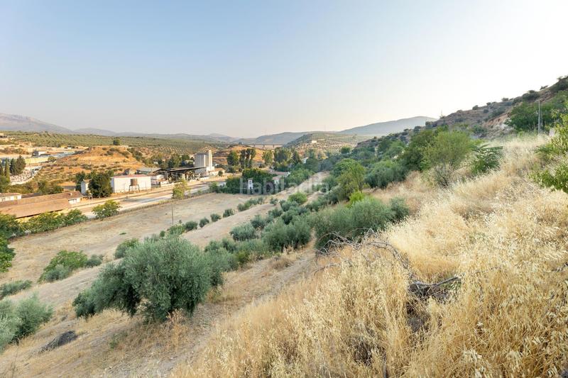 Foto f11e7bba-1ba8-4bfb-91e6-c744d1860e17. Terreno residencial en calle de granada de Iznalloz oportunidad única granada en Iznalloz