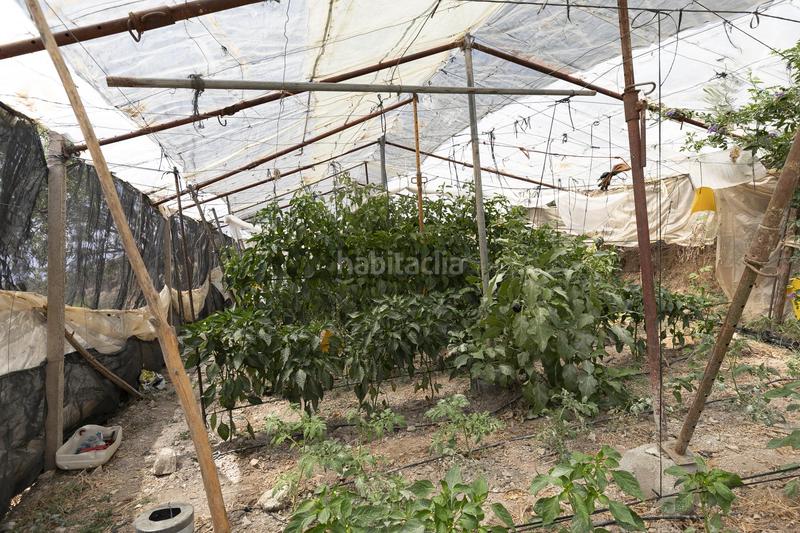 Foto 29555620-e9d4-40fd-8cae-651323e0d49d. Business premise in plaza del polígono in La Paz Granada