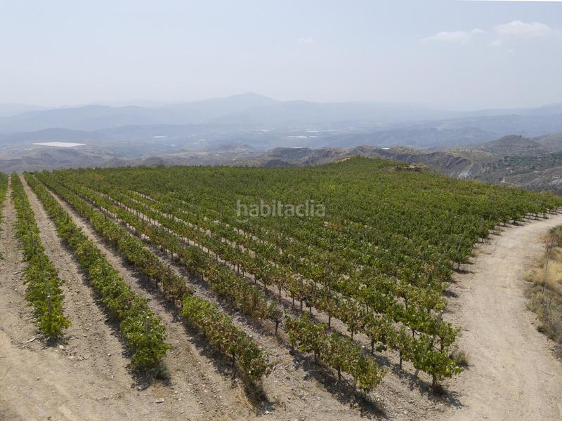 Foto 2d97a8a2-c115-4d74-a24a-3c10b7ef5cc0. Business premise in plaza del polígono in La Paz Granada