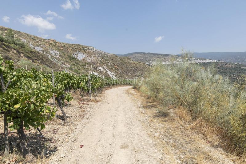 Foto 72e66671-d285-4d26-99c8-a5649a5166ac. Business premise in plaza del polígono in La Paz Granada