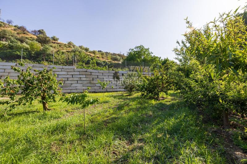 Foto 1d1ef9a1-effe-4a72-ad12-3b31c6a65b9d. Propriété dans paseo paseo duquesa s/n dans Pinos Genil