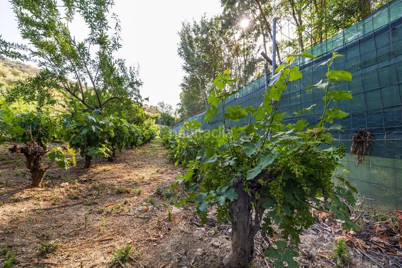 Foto 2a7ef461-9d7f-4cf3-8079-9647309dda6e. Propriété dans paseo paseo duquesa s/n dans Pinos Genil