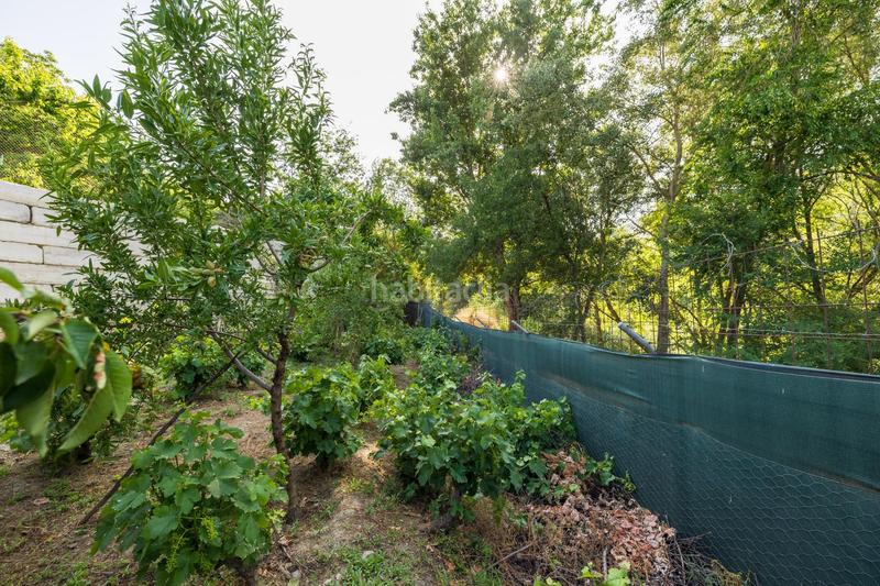 Foto a1984ce2-2cd5-4d9e-9ec3-f8a9caaa31ee. Propriété dans paseo paseo duquesa s/n dans Pinos Genil