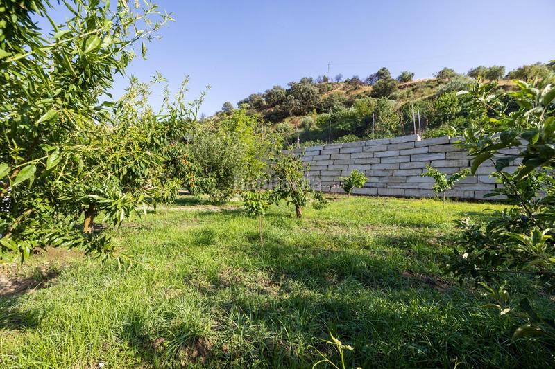 Foto d5353130-30d0-4b7f-bc33-8aeaa845d8b2. Propriété dans paseo paseo duquesa s/n dans Pinos Genil