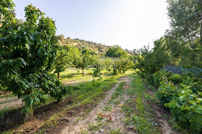 Foto d6b066c9-ccbc-4969-b554-777efc22b9d4. Propriété dans paseo paseo duquesa s/n dans Pinos Genil