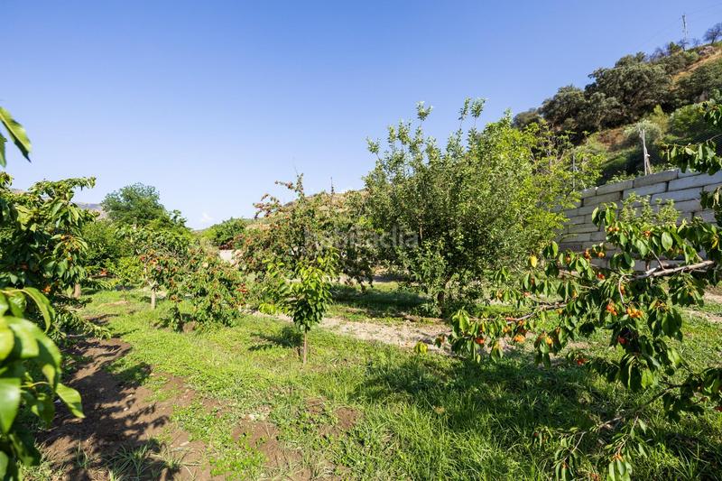 Foto eebbd4b0-fee1-4205-929c-a36da709ed22. Propriété dans paseo paseo duquesa s/n dans Pinos Genil