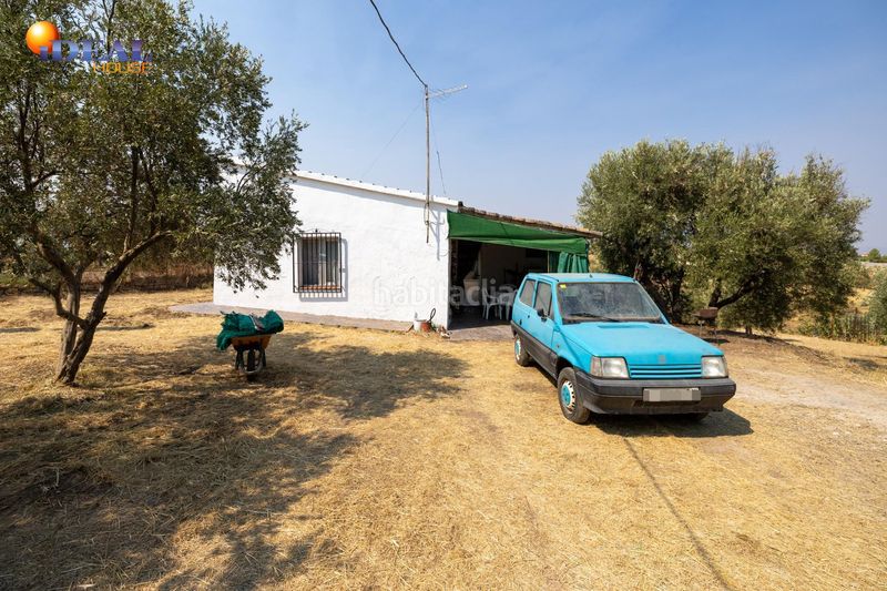 Foto 13de9382-c333-42b8-8abb-5a6efbc00e3f. Masía en calle de moraleda a cómpeta 22 encanto rústico con casita y olivos en moraleja de zafayona en Moraleda de Zafayona