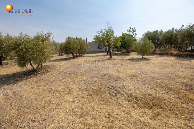 Foto 422b22cc-cb77-46ee-a840-88dddda31ce3. Masía en calle de moraleda a cómpeta 22 encanto rústico con casita y olivos en moraleja de zafayona en Moraleda de Zafayona