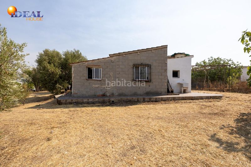 Foto a44d778b-cf45-45dd-9587-d82a586809c2. Masía en calle de moraleda a cómpeta 22 encanto rústico con casita y olivos en moraleja de zafayona en Moraleda de Zafayona
