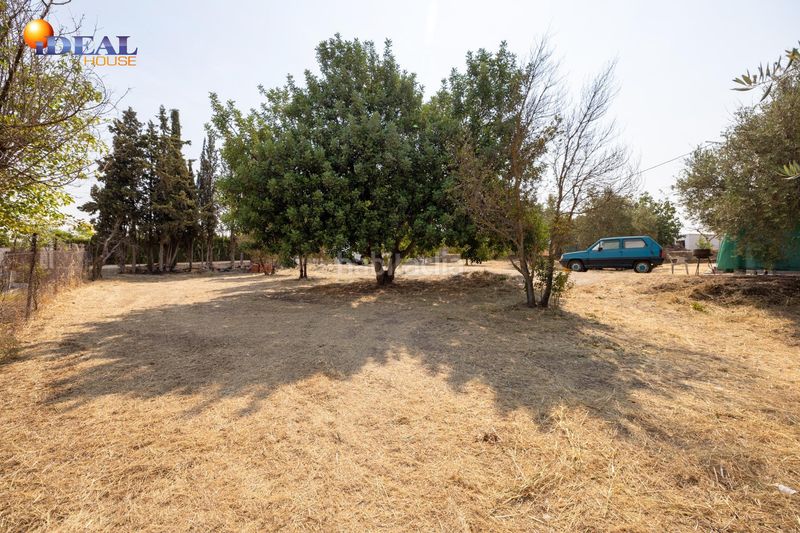 Foto ad6238d1-dec2-4696-8a75-73cd4b4ba8e0. Masía en calle de moraleda a cómpeta 22 encanto rústico con casita y olivos en moraleja de zafayona en Moraleda de Zafayona