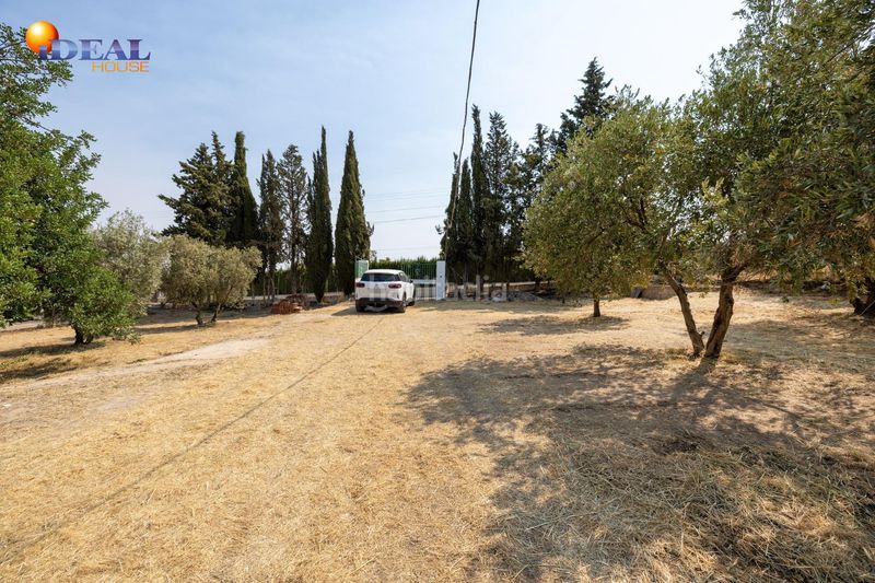 Foto e6892119-54bc-40ca-a3e8-48295ab3e5e9. Masía en calle de moraleda a cómpeta 22 encanto rústico con casita y olivos en moraleja de zafayona en Moraleda de Zafayona