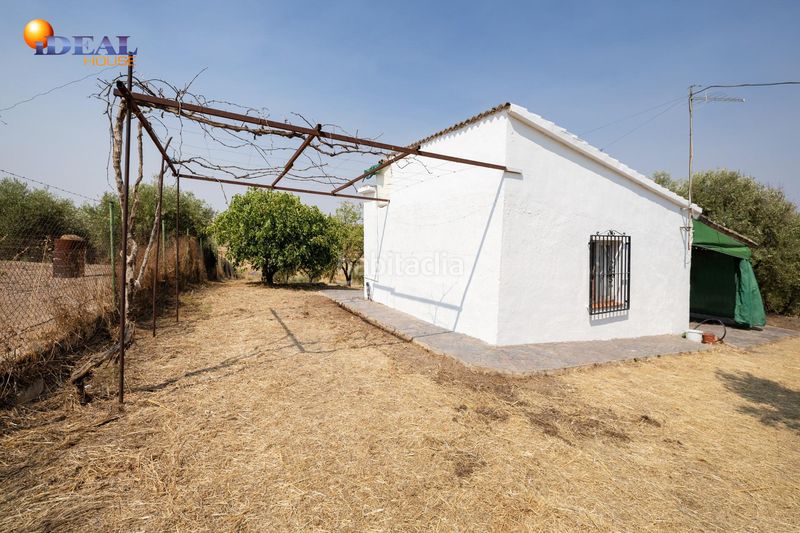 Foto f1536ac7-f58c-446f-8adf-9767c3a8d609. Masía en calle de moraleda a cómpeta 22 encanto rústico con casita y olivos en moraleja de zafayona en Moraleda de Zafayona