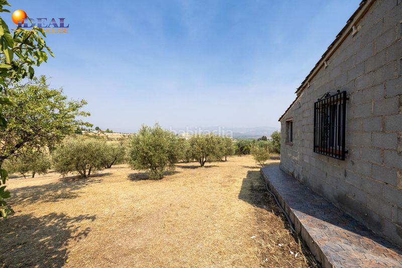 Foto f7193bd9-0733-4100-b51d-659781d684bf. Masía en calle de moraleda a cómpeta 22 encanto rústico con casita y olivos en moraleja de zafayona en Moraleda de Zafayona