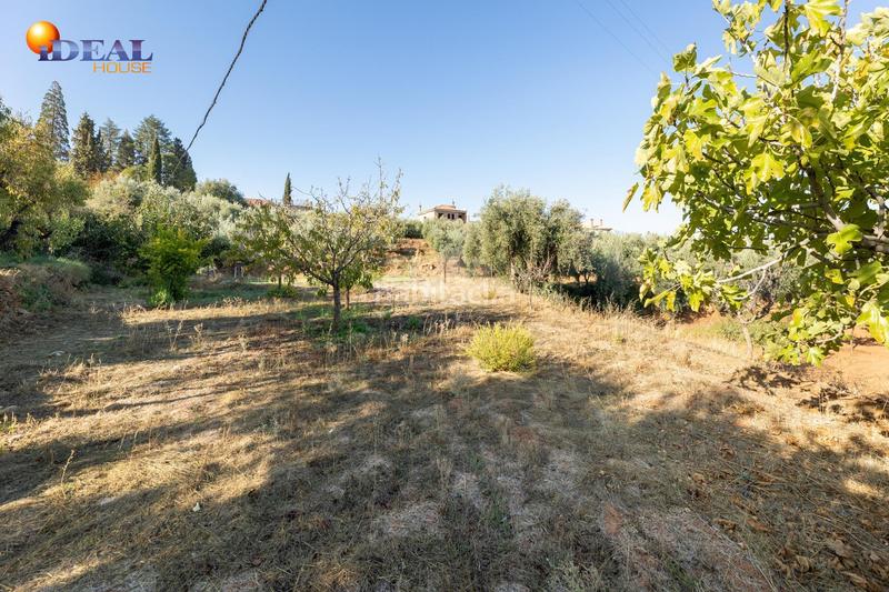 Foto ca51be7b-1ea6-4bb5-b88b-1984ac703048. Xalet a calle de emilio muñoz 45 a Dílar