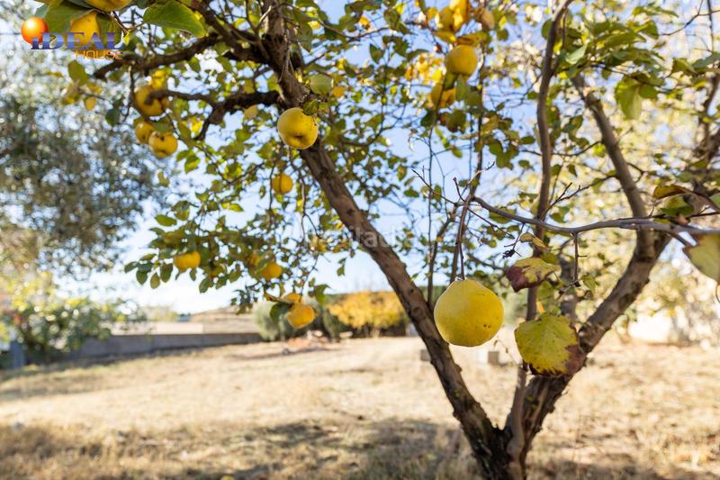 Foto b24b97f2-0d2b-4055-a2e1-fd498b84f08d. Terreny residencial a San Francisco - El Chorrillo Gabias (Las)