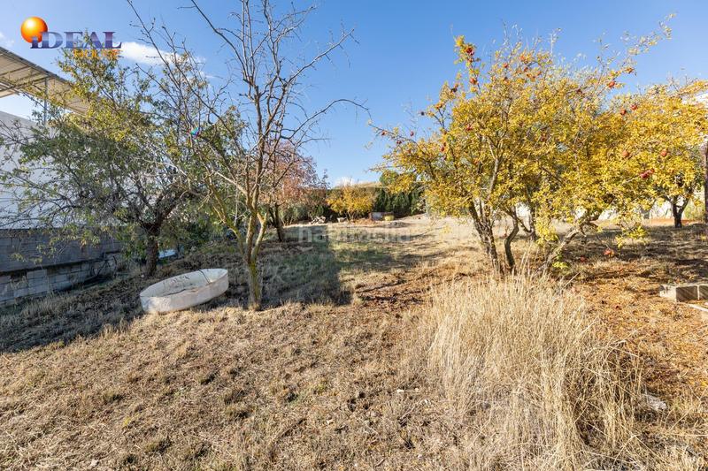 Foto d29efadc-01ba-4061-9e97-199df5482a2a. Terreny residencial a San Francisco - El Chorrillo Gabias (Las)