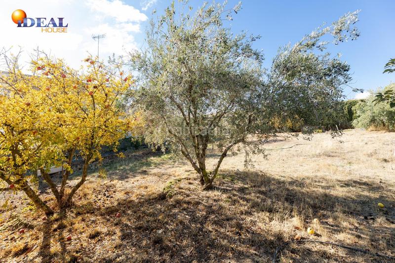 Foto e8788c4d-d1b5-4e3d-8b09-711805184457. Terreny residencial a San Francisco - El Chorrillo Gabias (Las)