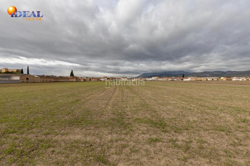 Foto 779d9c0b-b70c-4716-b964-57bdbcb321af. Residential plot in Valderrubio