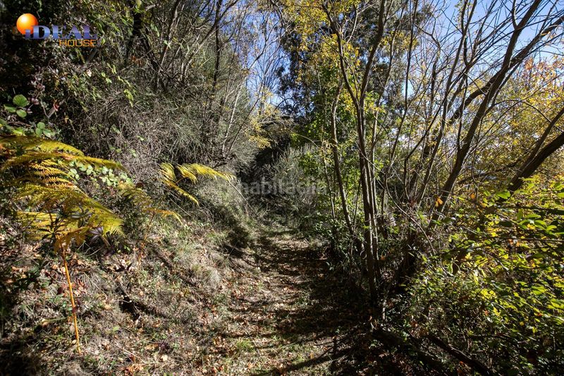 Foto dae18e7b-60af-44d2-b366-137d2c809027. Masia amb aparcament a Taha (La)