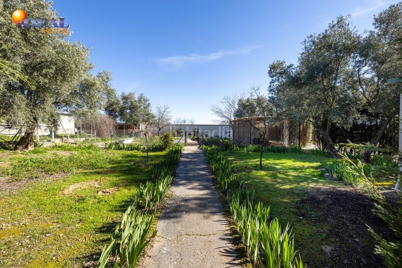 Foto 1a10e745-fb89-4919-8047-a958dfe082ae. Xalet amb piscina a Atarfe