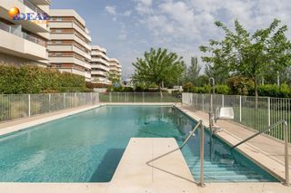 Pis a Rosaleda - Juventud